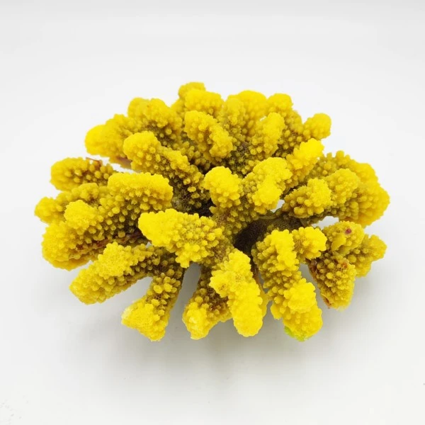 Kunstig koral Pocillopora verrucosa L (Yellow)